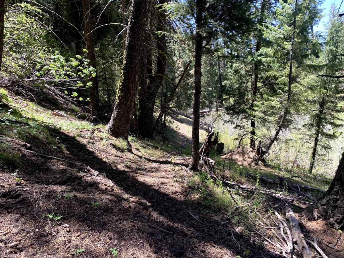 North Fork Deer Creek photo 5