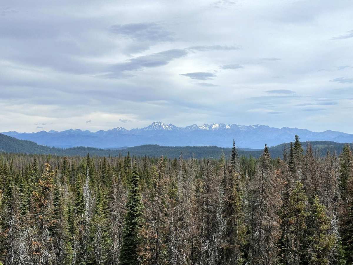 Tripod Flats Trail trail photo