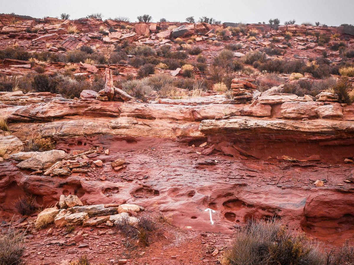Rock Rim Single Track photo 4