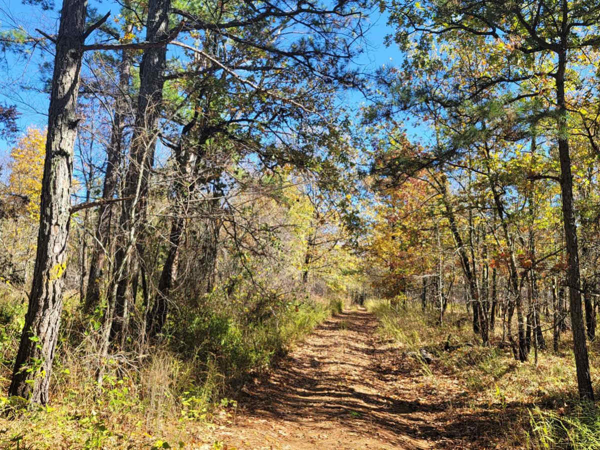 Walker Mountain photo 5
