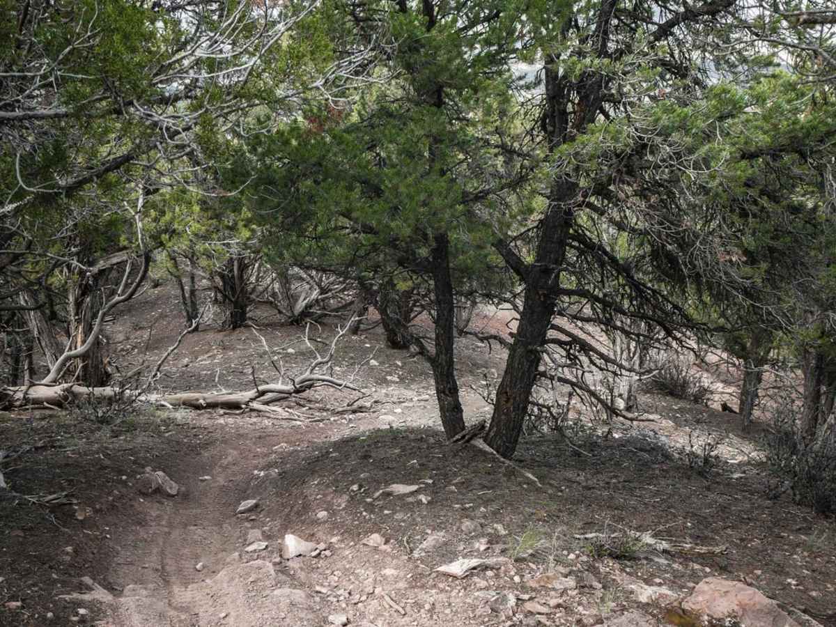 Ledge Trail photo 4