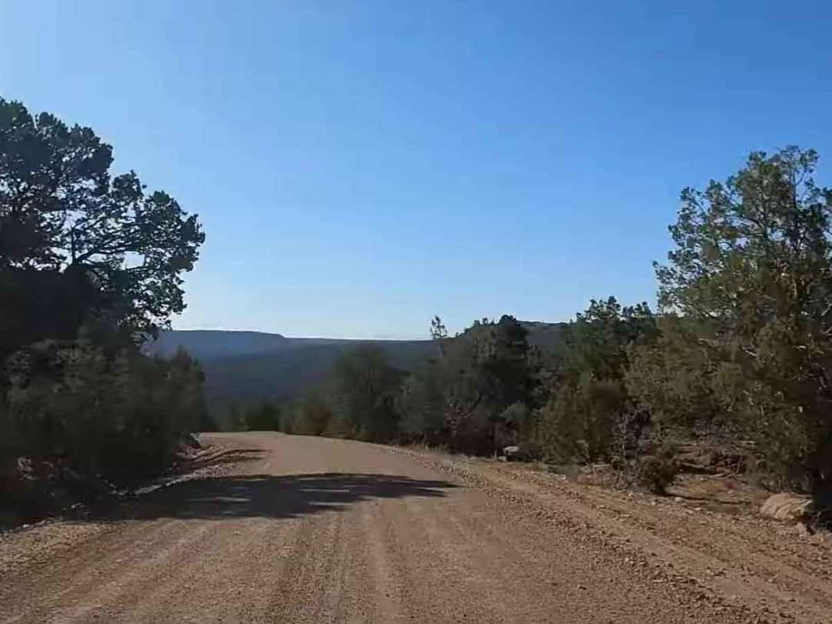 Montezuma Canyon Road photo 2
