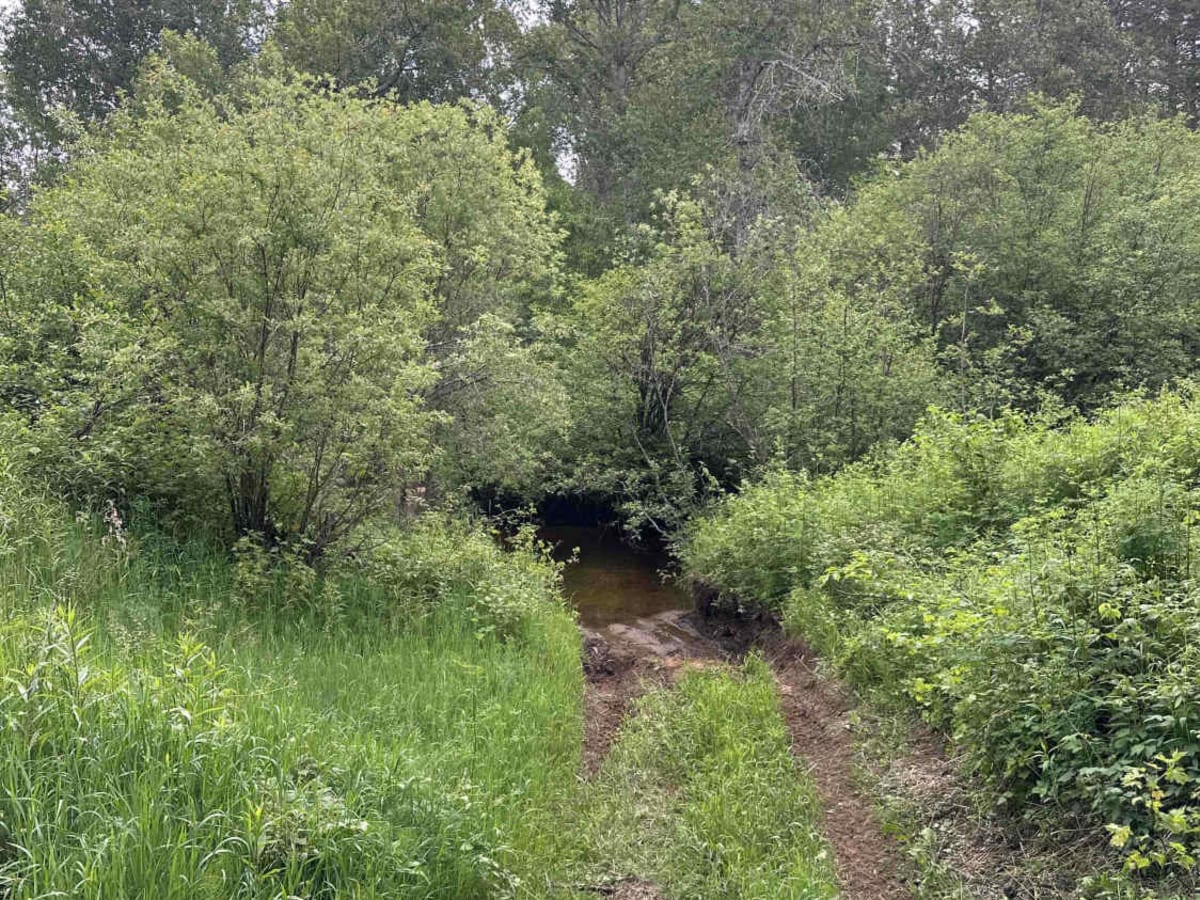 Ozark photo 6