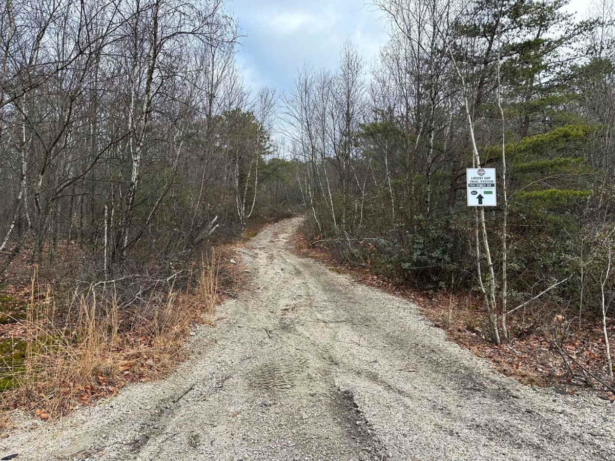 Locust Gap 64 trail photo