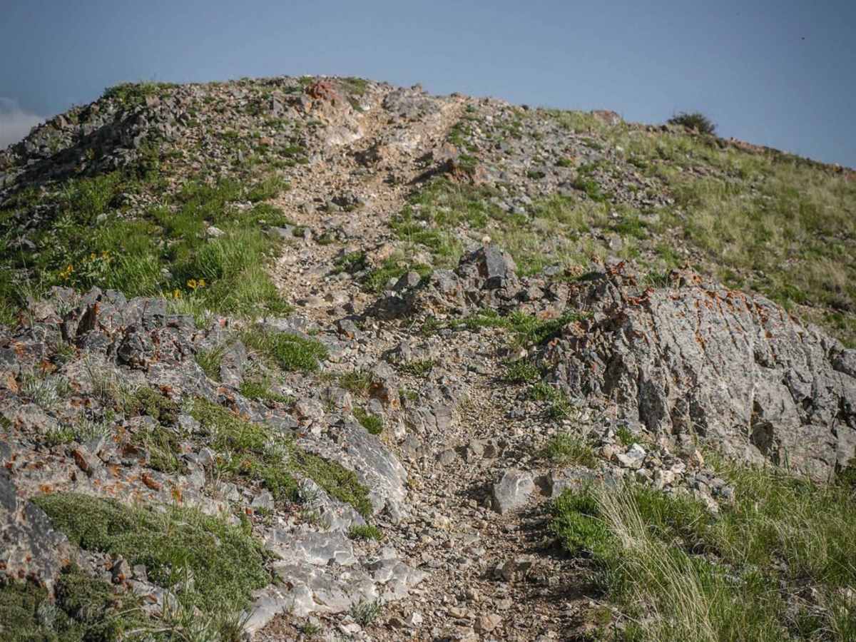 East Slope of Old Baldy Peak photo 4