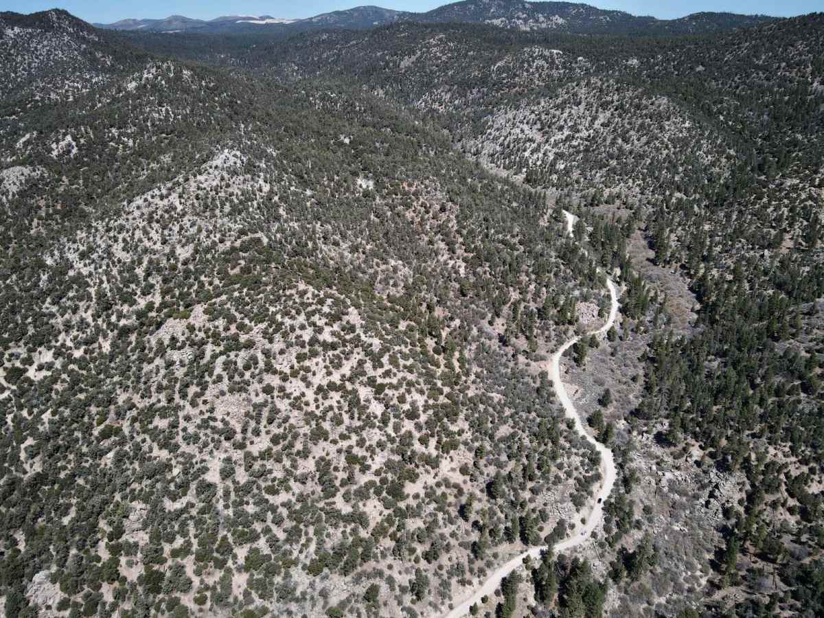 Van Dusen Canyon - 3N09 trail photo