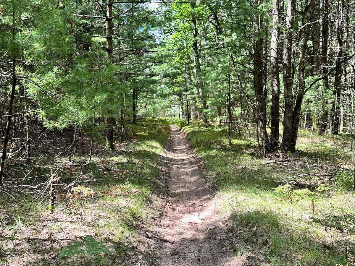 Big O - East Motorcycle Trail photo 4