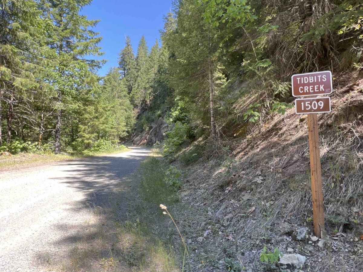 Blue River 1500 trail photo