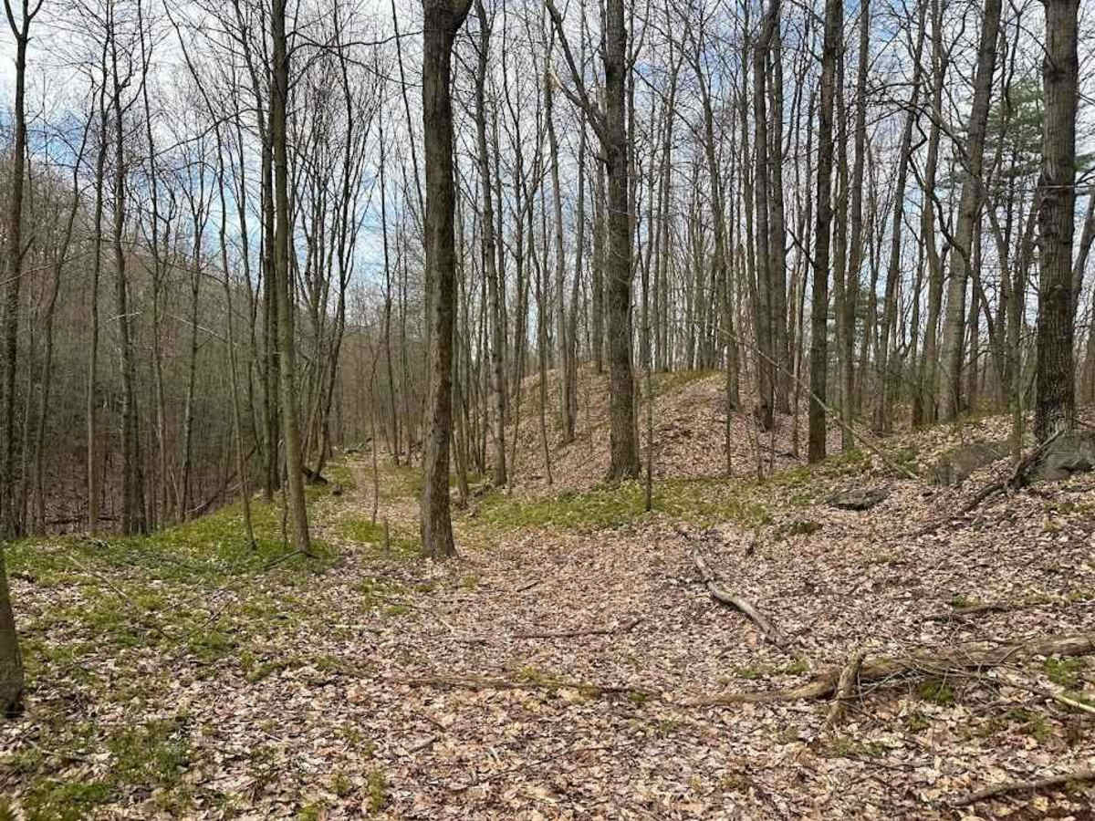 Ashland 136 photo 4