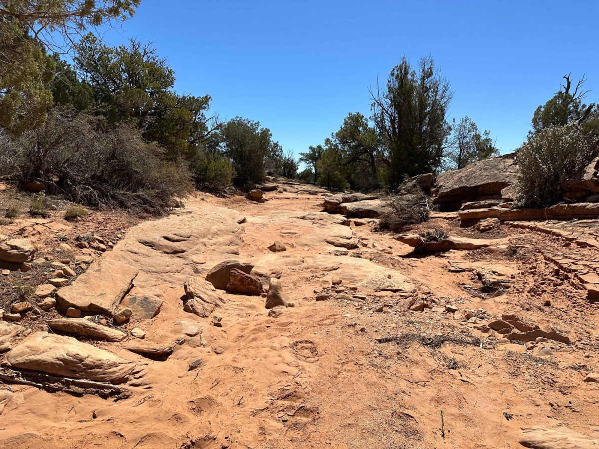 Emigrant Trail - Snow Flat Route photo 4