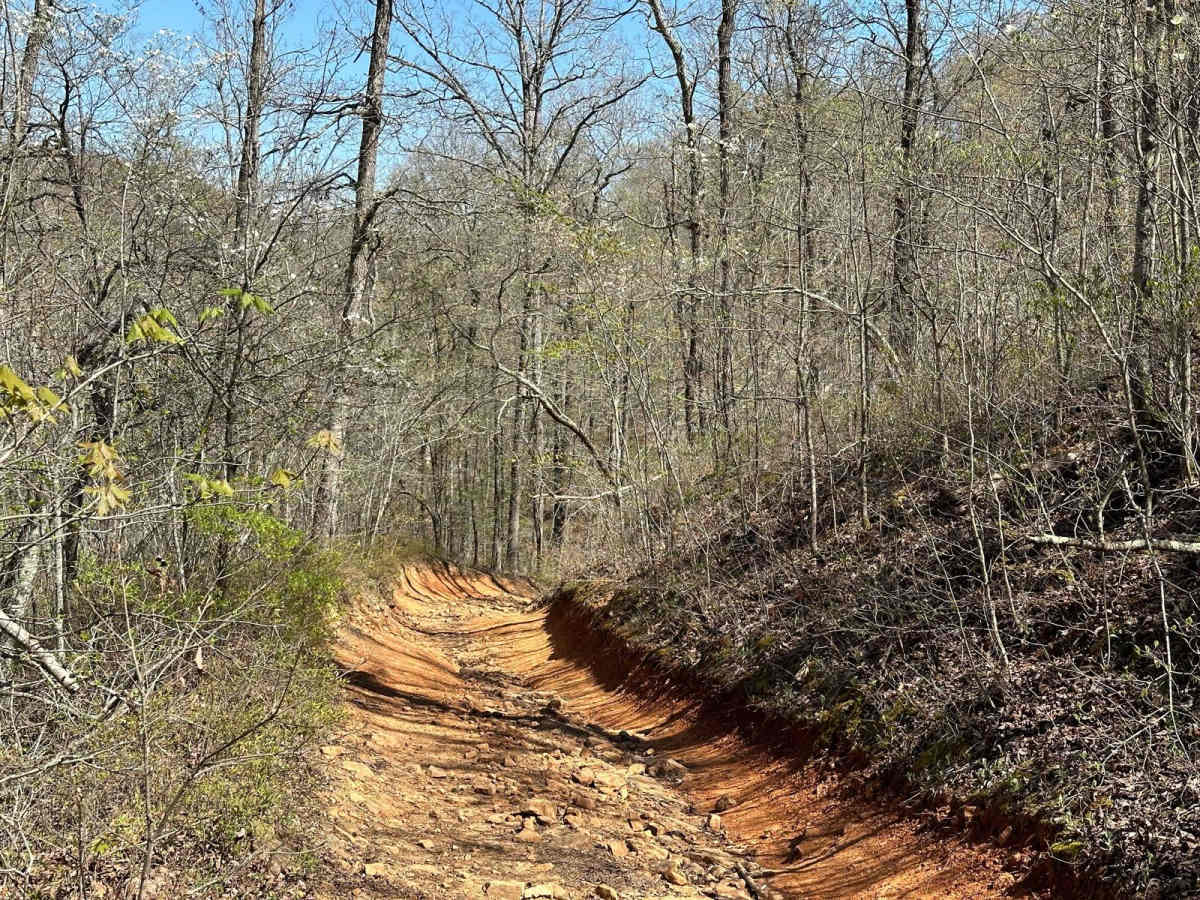 Eureka Springs Hollow 95472B photo 6