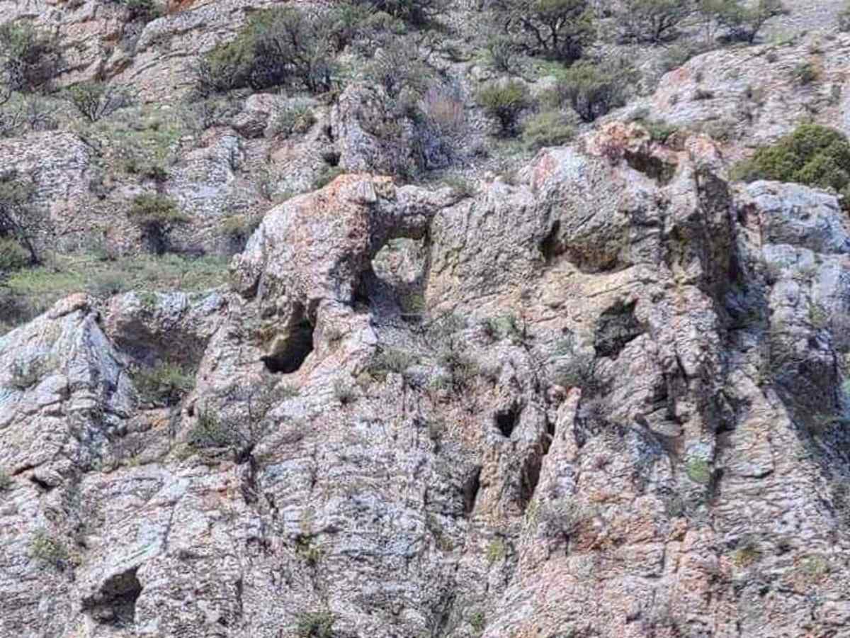 Appendicitis Hill Spur #5 photo 6