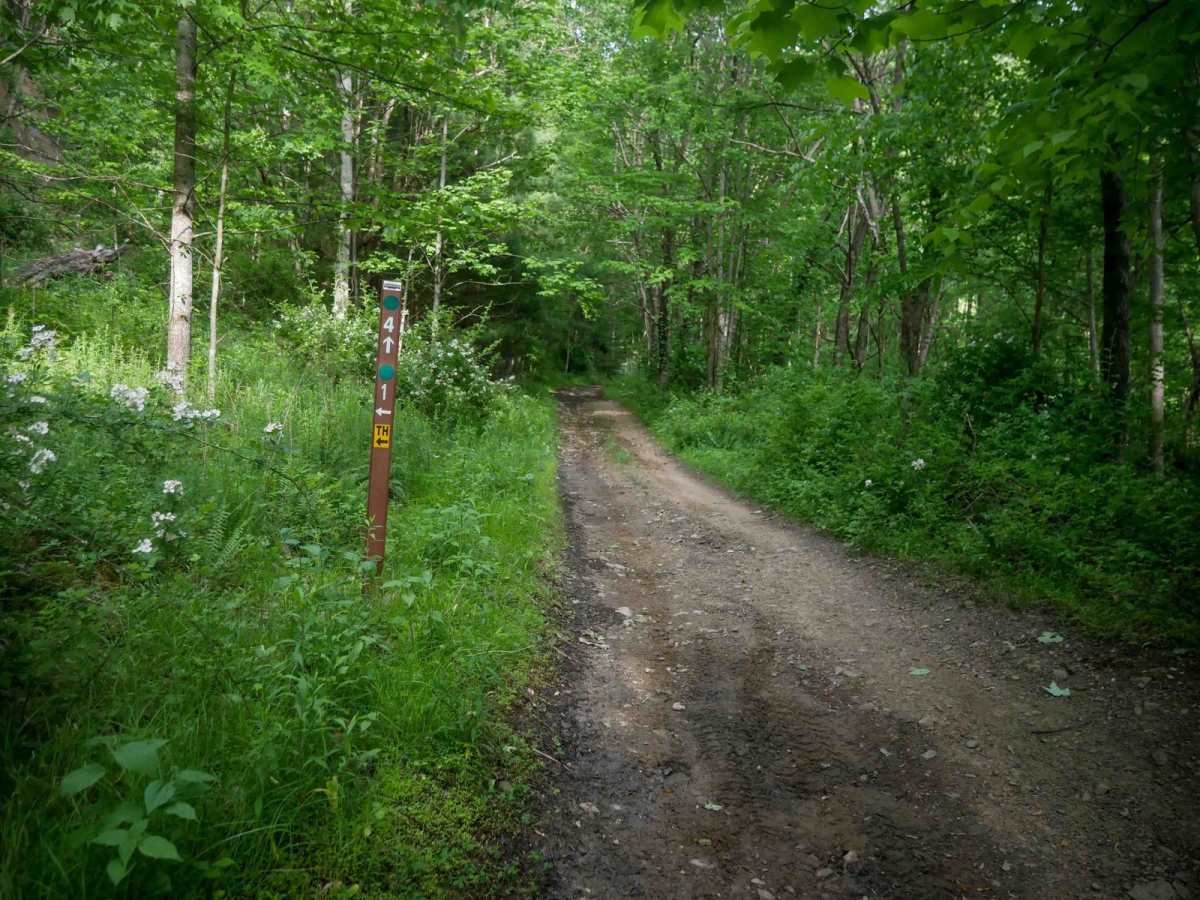MV4 trail photo