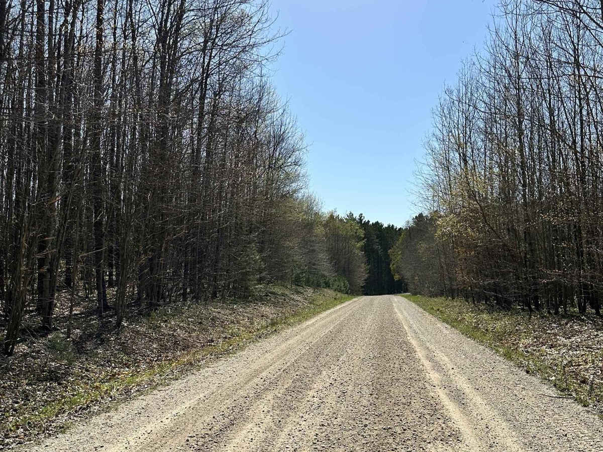 County 40 Road - 5405 photo 6