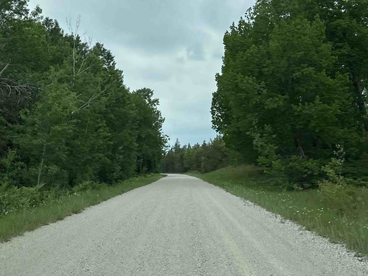 FS 3343 photo 5