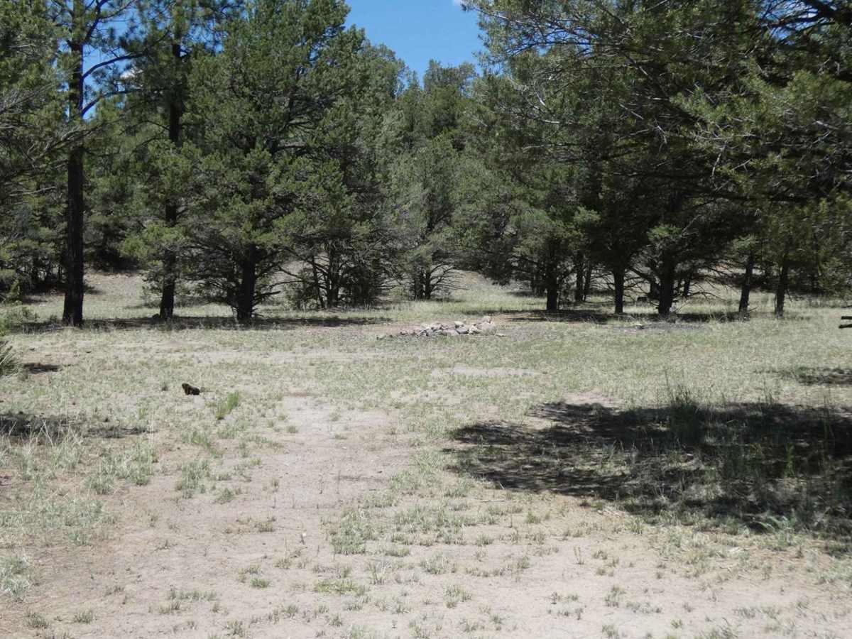 Swingle Canyon FS62 photo 3