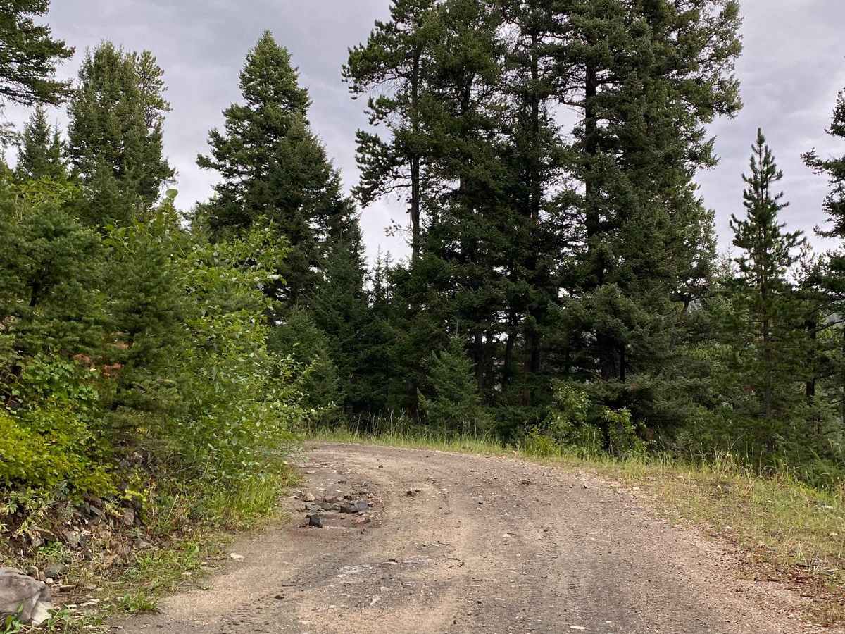 Cliff Creek Trail photo 3