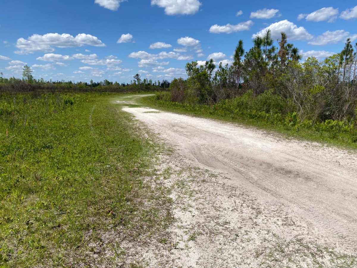 Road 1 photo 5