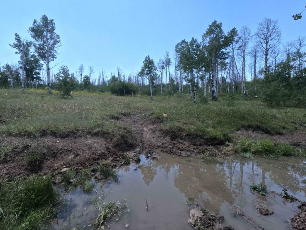 Sheepherder Hill - FS 8099 photo 3