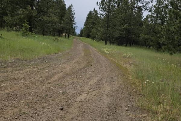 Iron Springs