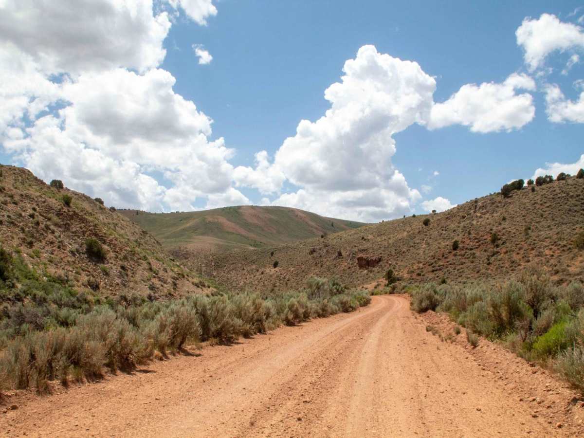 Cutoff Canyon - BLM AR11 photo 6