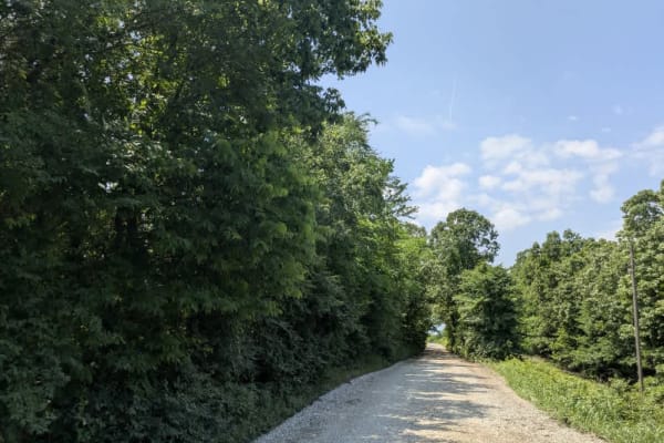 Memorial Drive