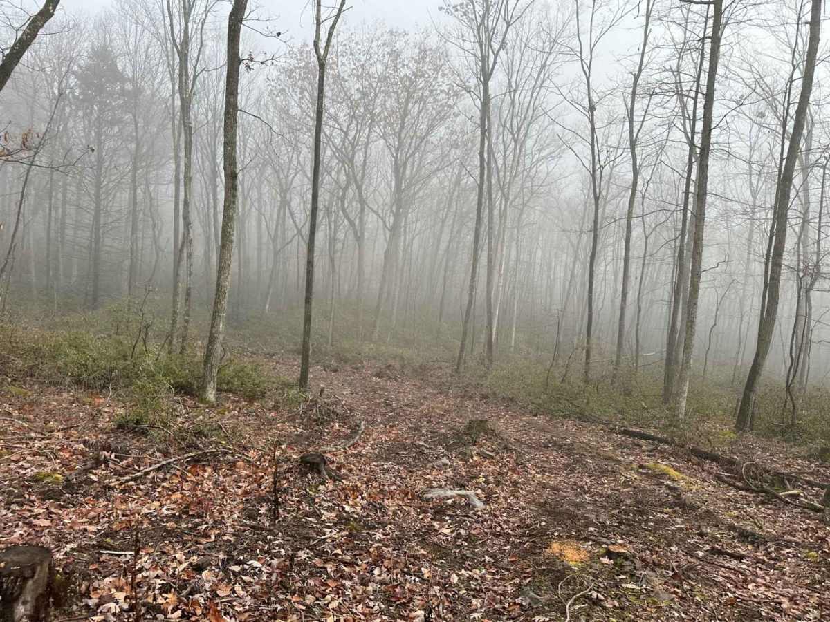 Darkwater 109 photo 6