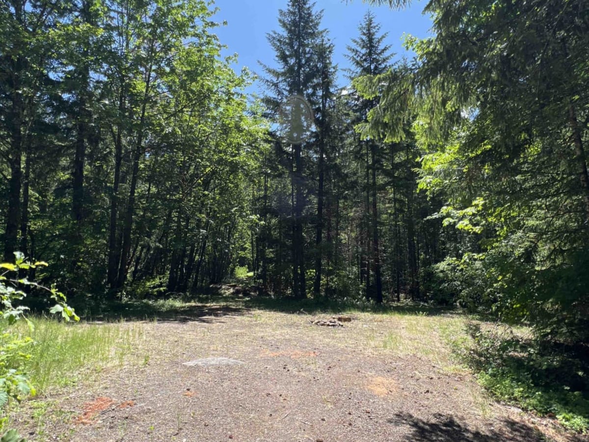 Oak Grove/Timothy Lake photo 5
