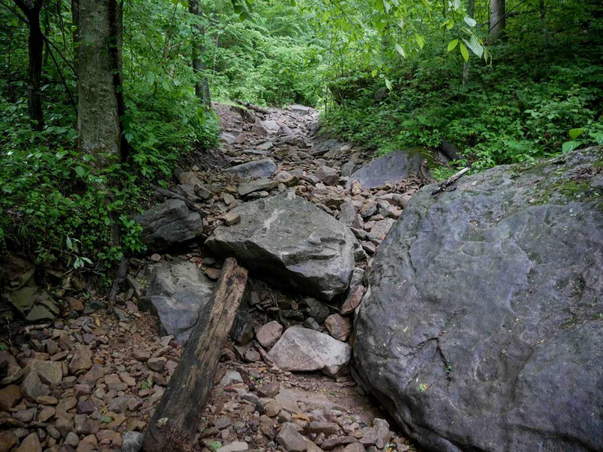 B73 trail photo