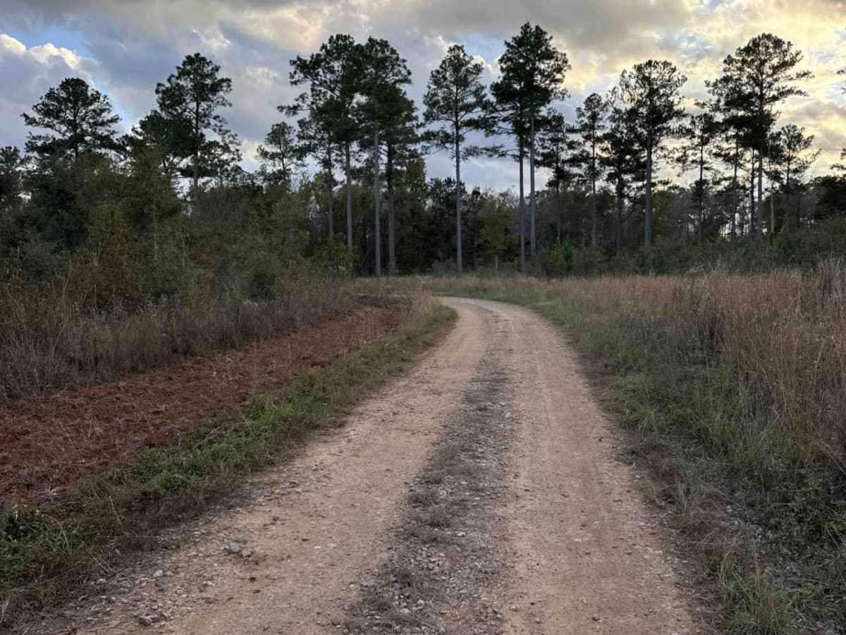 Mud Creek Road trail photo