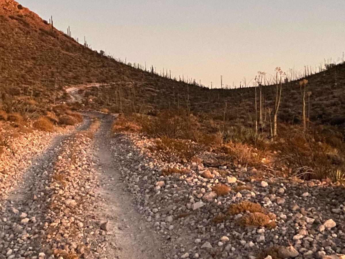 Off Highway One trail photo