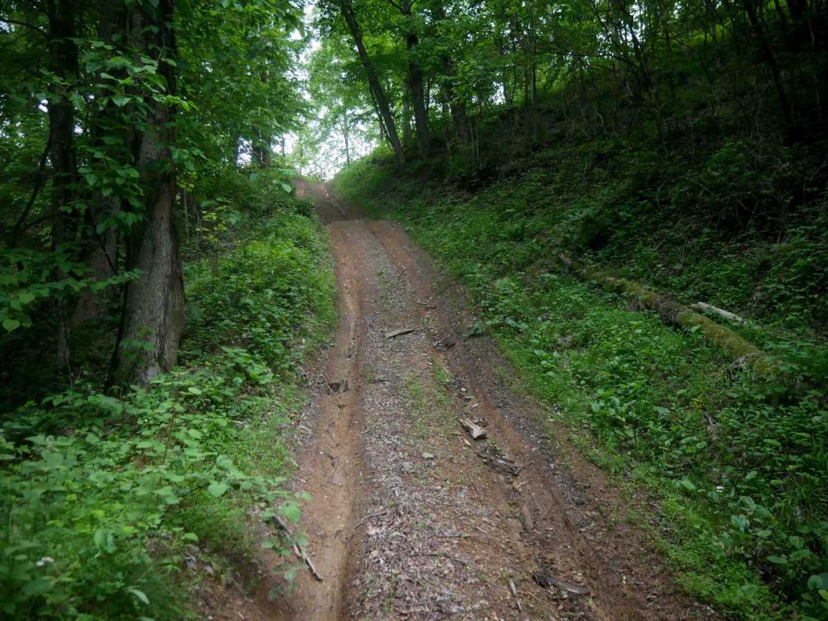 MV78 trail photo