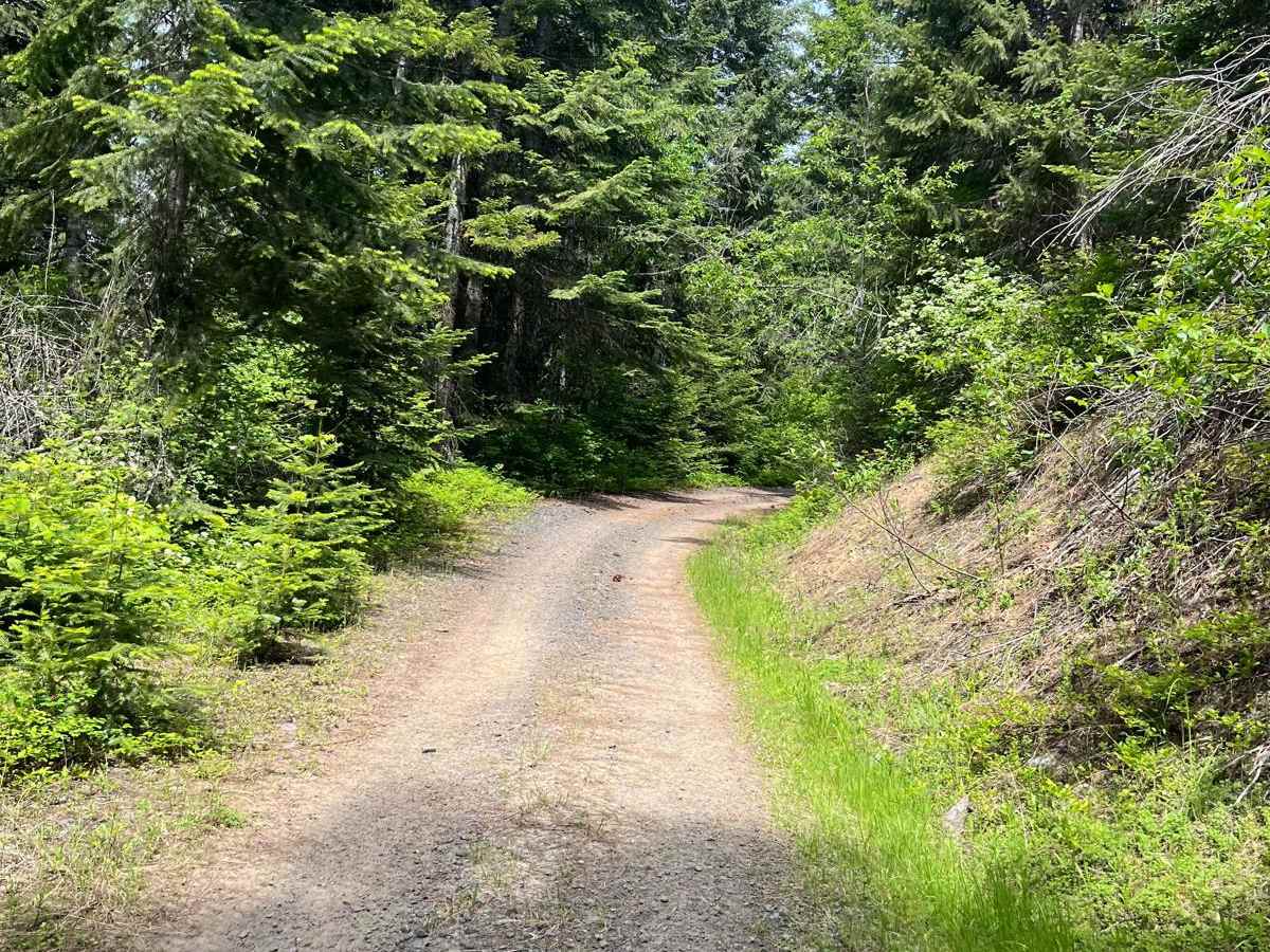 Forest Service Road 3306C photo 2