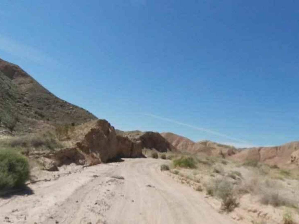 South Fork Palm Wash photo 4