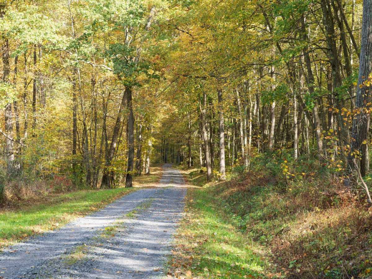 Pine Swamp Road photo 4