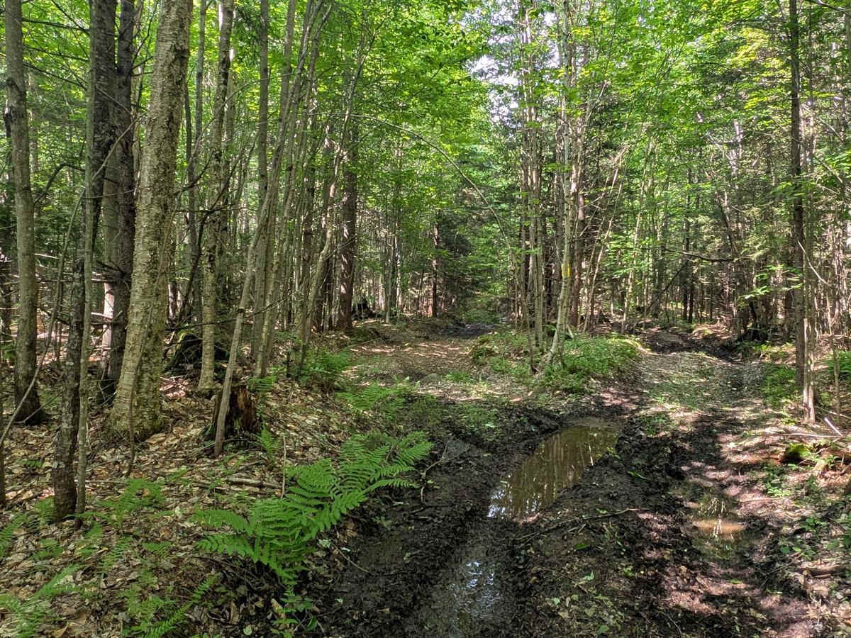 Long Pond Connector Road photo 5