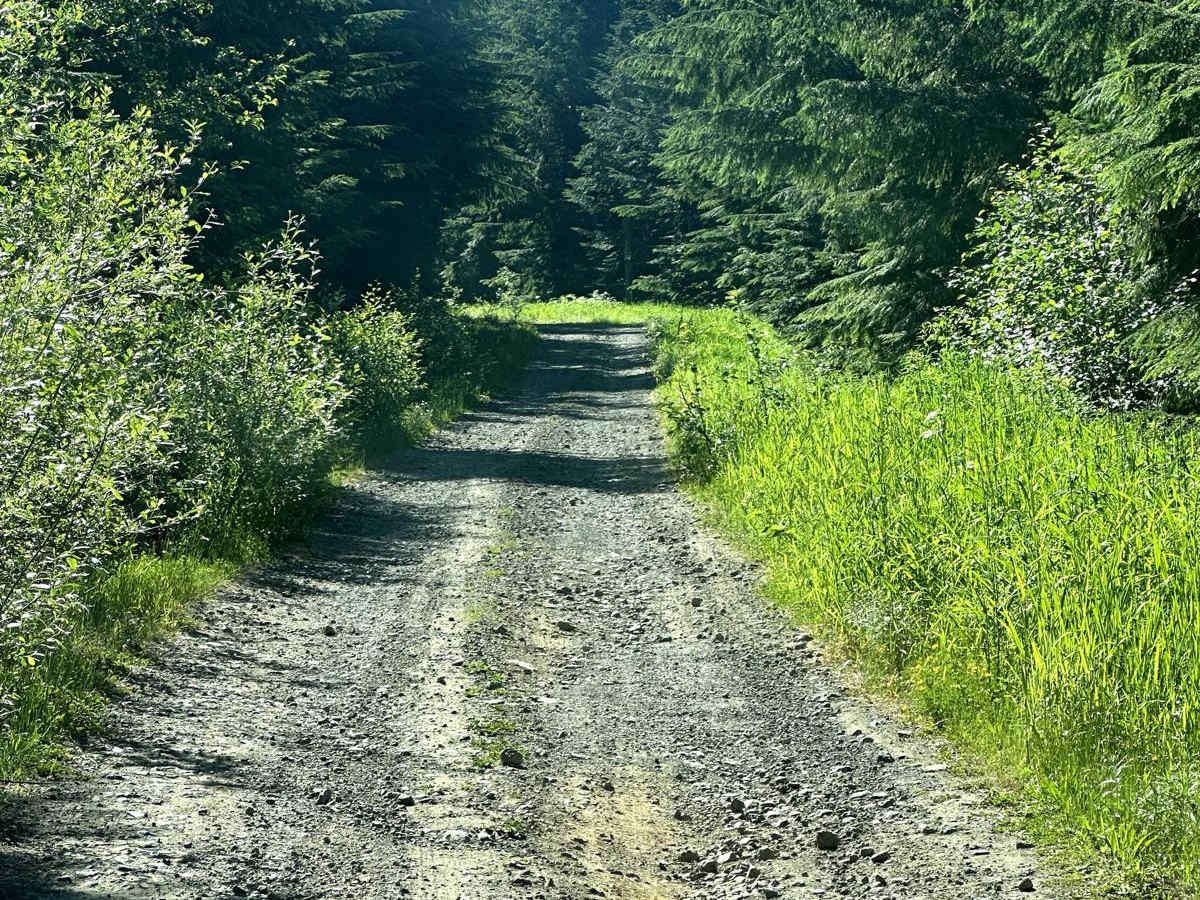 Towhead Gap Trail photo 5