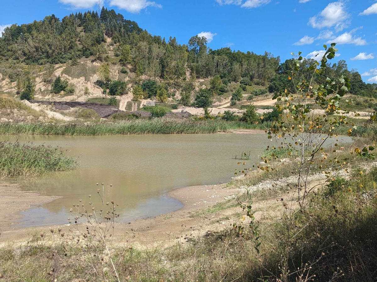 Soggy Bottom Loop trail photo