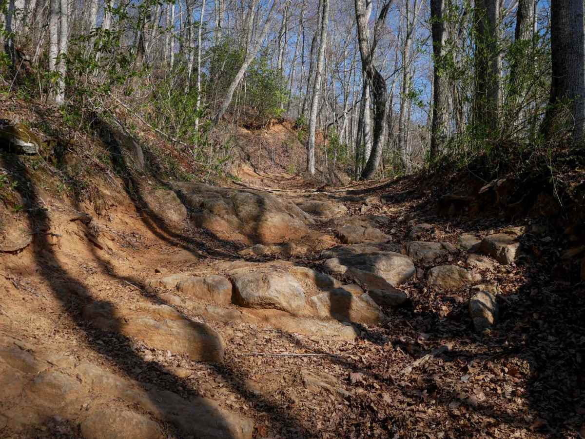 6A trail photo