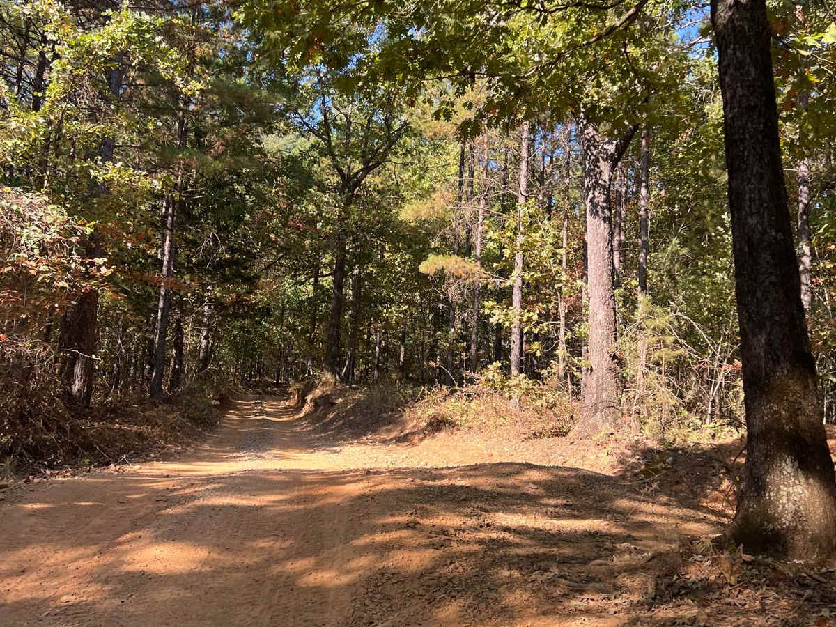 Wolf Pen Gap 313 photo 4