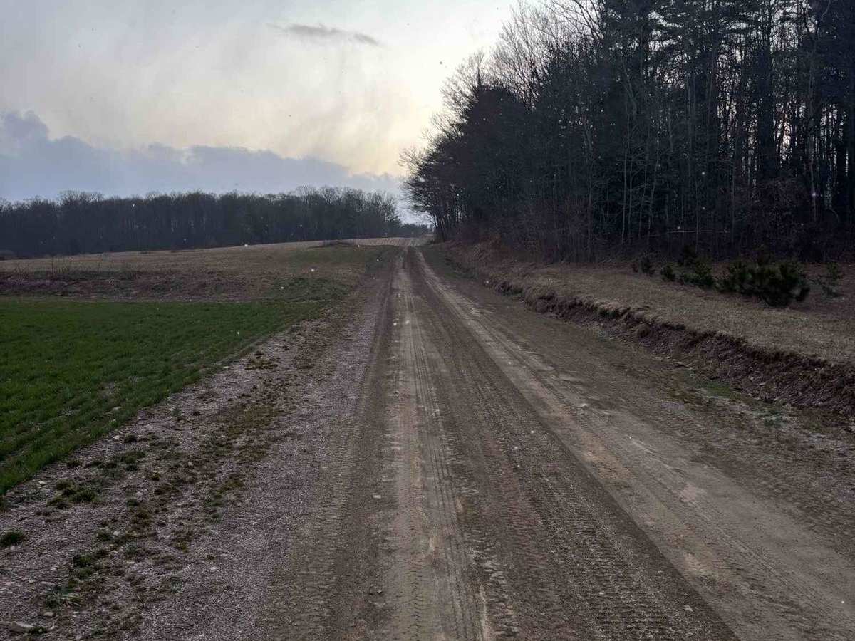 Everett Road photo 6
