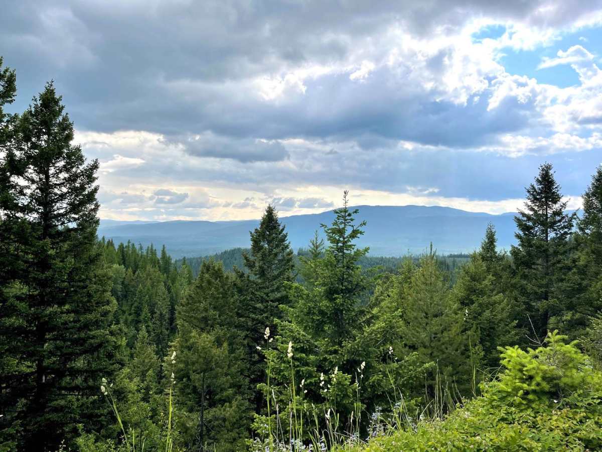 Findell Creek trail photo