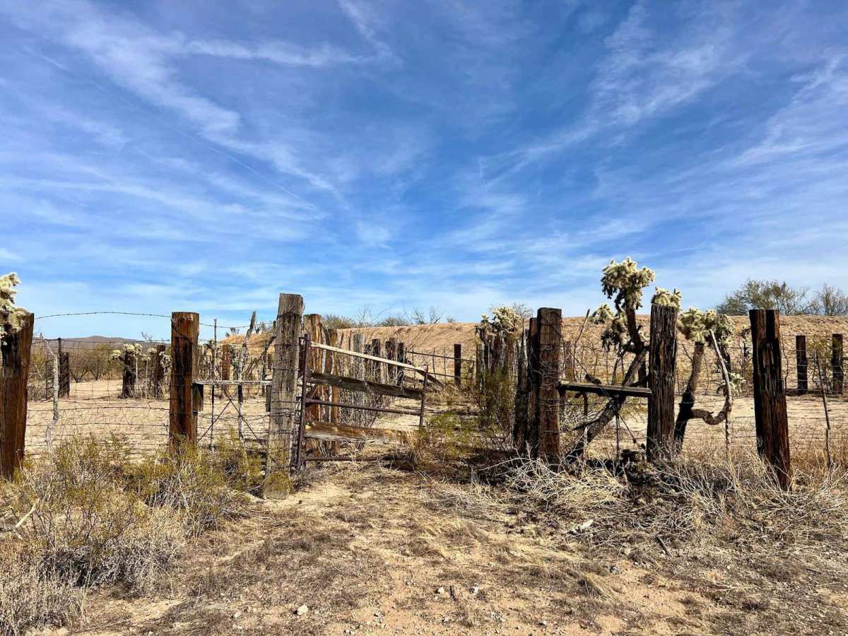 Gato Tank trail photo