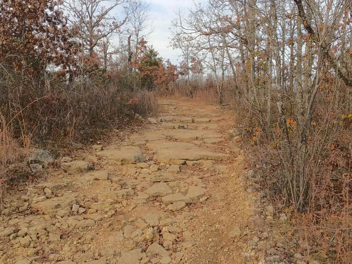 Tennyson Hollow East - FS 507 photo 6