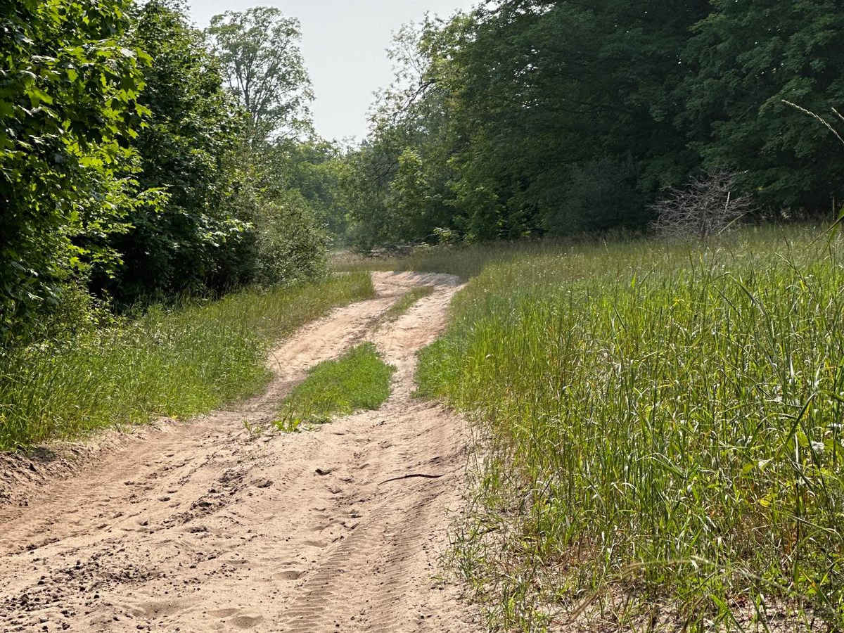 Lamb Road/Trail 39 photo 5