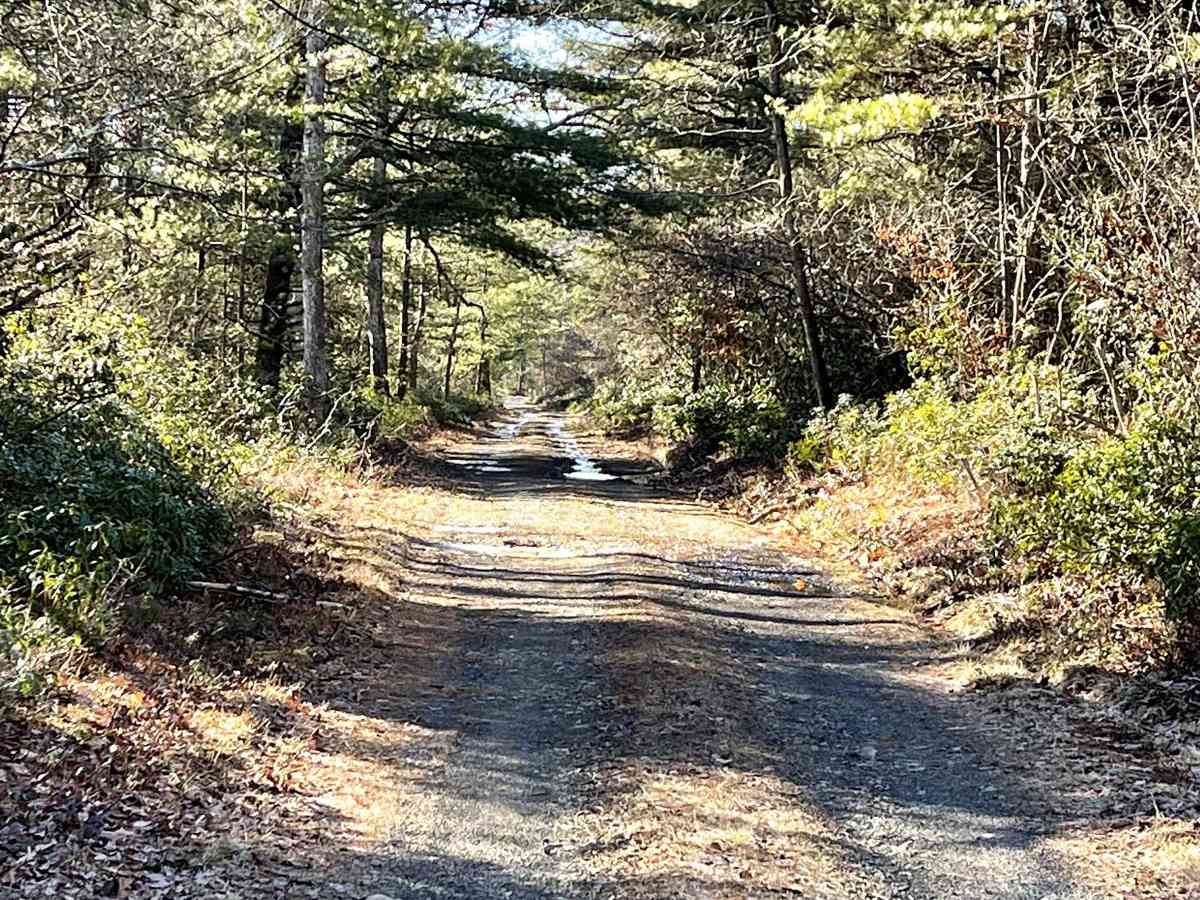 Knob Ridge Road Drivable Trail photo 3