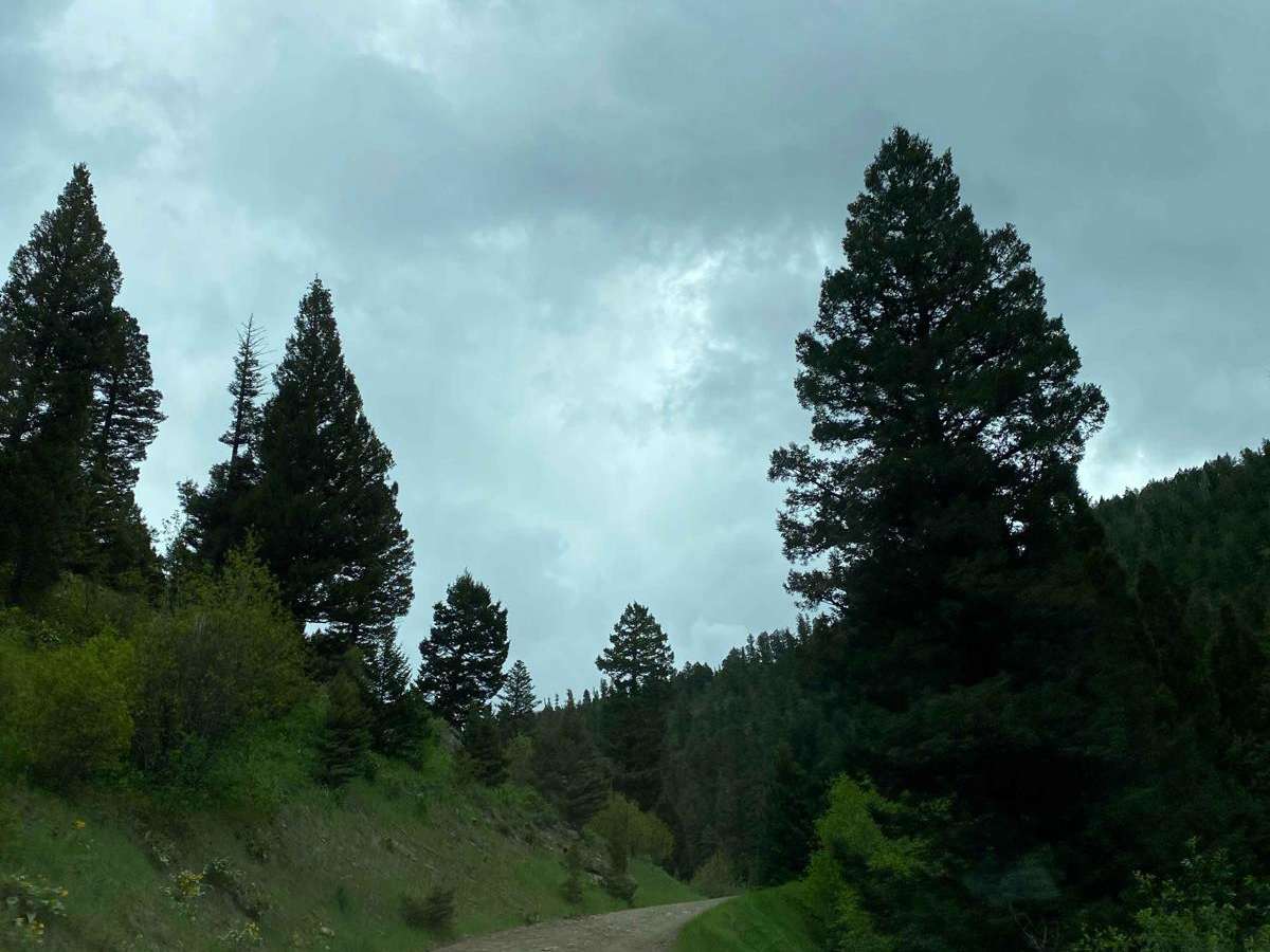 Start of Olsen Creek photo 5