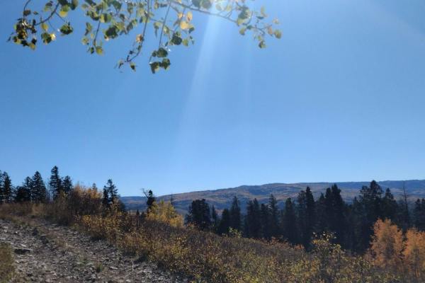 Cedar Hollow OHV Trail FS 80203