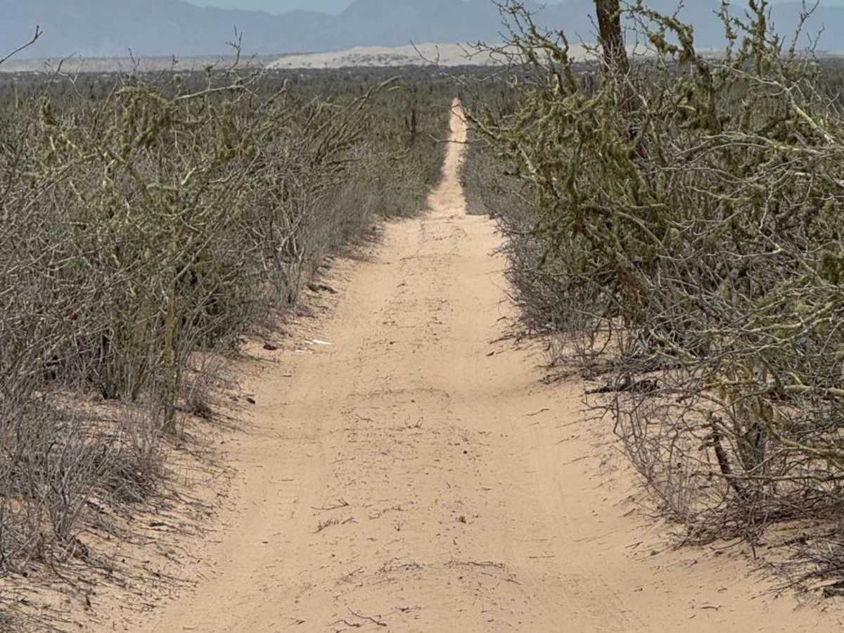 North-Southeast Race Line photo 3