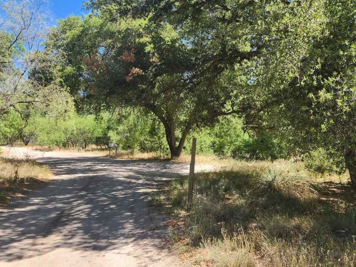 Turkey Creek Springs FR 4408 photo 4